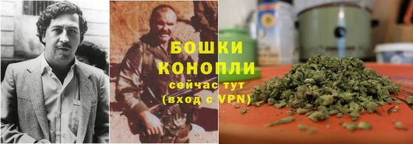 ГАЛЛЮЦИНОГЕННЫЕ ГРИБЫ Вязники