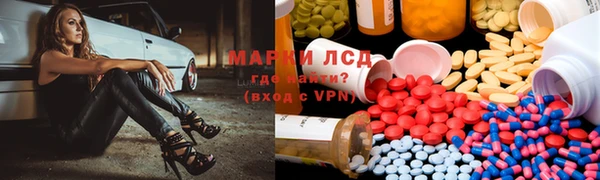 ECSTASY Вяземский