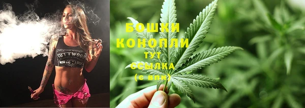 ECSTASY Вяземский