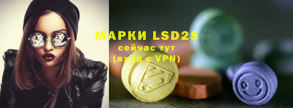 ГАЛЛЮЦИНОГЕННЫЕ ГРИБЫ Вязники