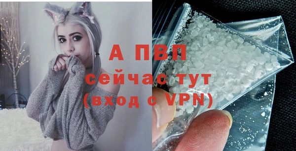 ГАЛЛЮЦИНОГЕННЫЕ ГРИБЫ Вязники