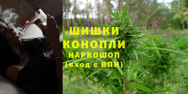 ГАЛЛЮЦИНОГЕННЫЕ ГРИБЫ Вязники