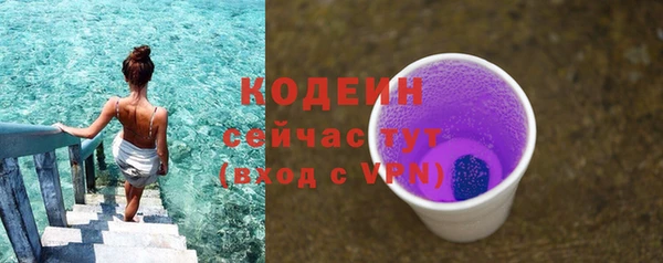 ECSTASY Вяземский