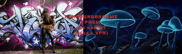 ECSTASY Вяземский